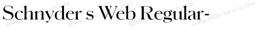 Schnyder s Web Regular字体转换